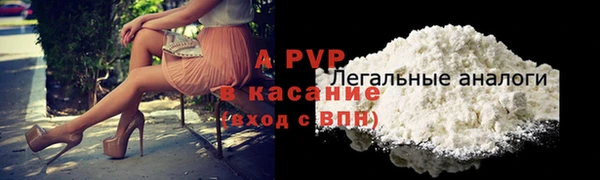 стаф Алексин