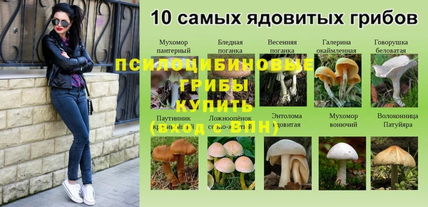 синтетический гашиш Алексеевка