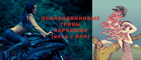 стаф Алексин