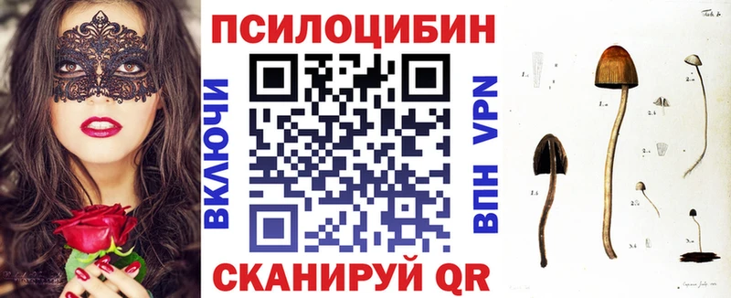 где купить наркоту  Новоульяновск  площадка как зайти  Галлюциногенные грибы Psilocybe 